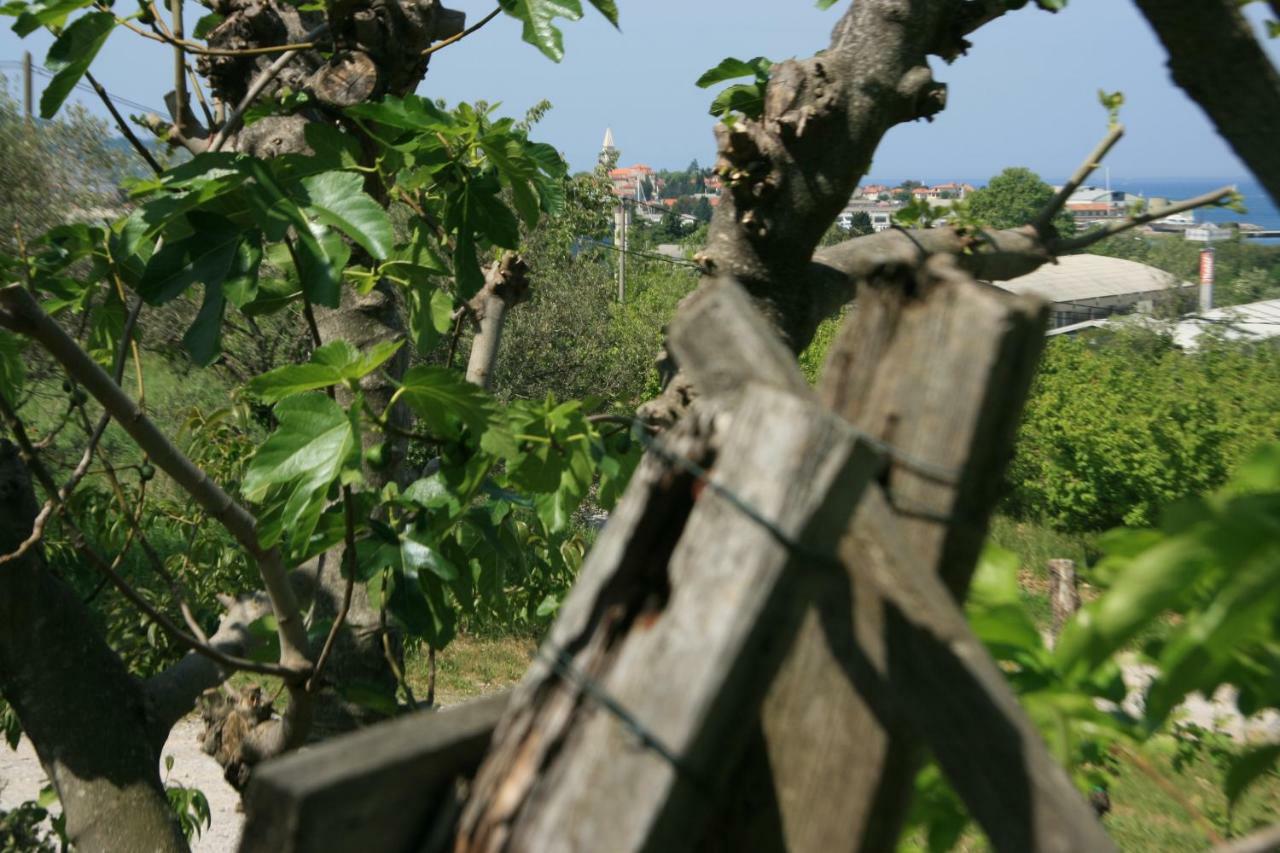 Apartma Tul Izola Esterno foto